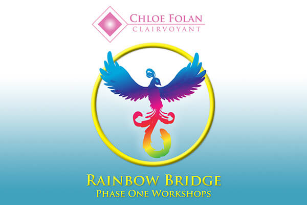 2026 Rainbow Bridge Classes